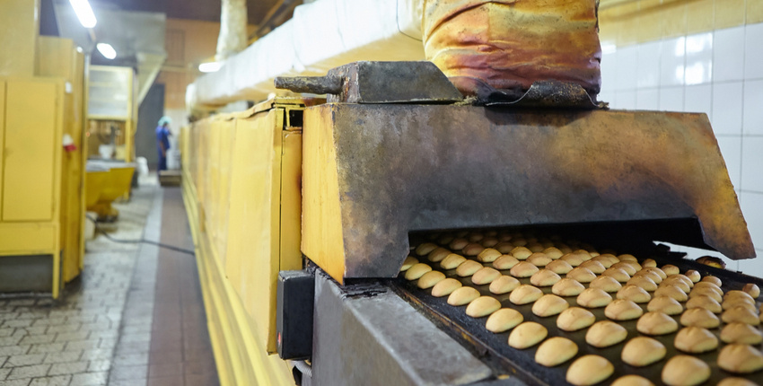 gingerbread conveyor line